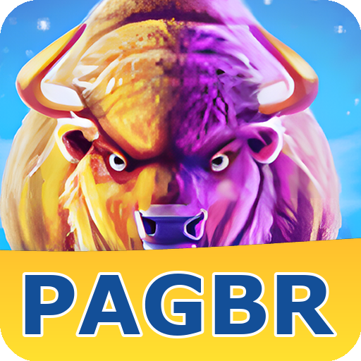 Formulário de Registro PAGBR